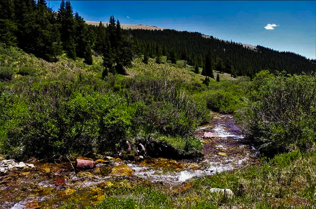 Beaver Creek — active flow through the property
